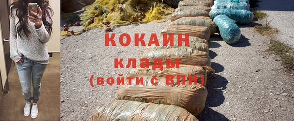 шишки Лиски