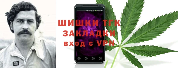 ГАЛЛЮЦИНОГЕННЫЕ ГРИБЫ Лихославль