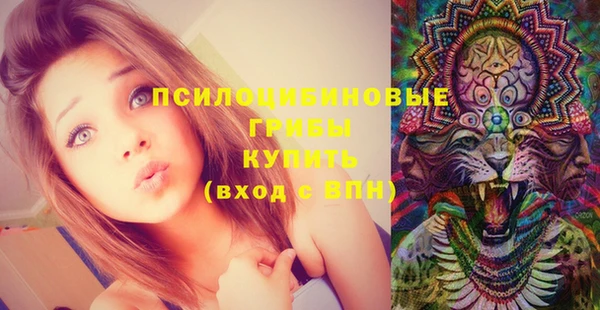 ГАЛЛЮЦИНОГЕННЫЕ ГРИБЫ Лихославль