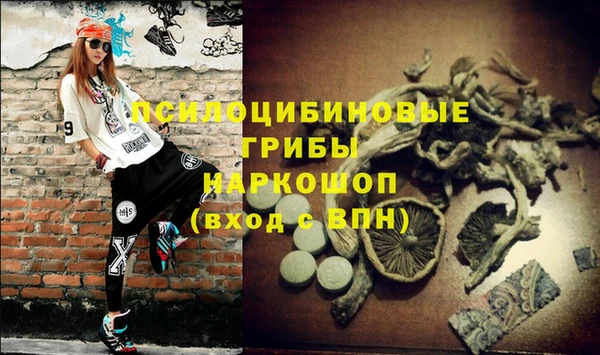 ГАЛЛЮЦИНОГЕННЫЕ ГРИБЫ Лихославль
