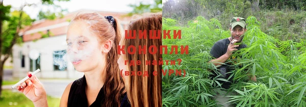 шишки Лиски