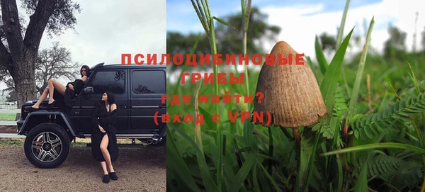 ГАЛЛЮЦИНОГЕННЫЕ ГРИБЫ Лихославль