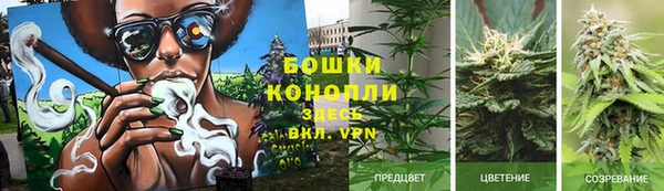 сатива Липки