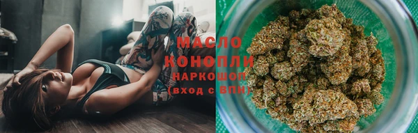 стаф Магас