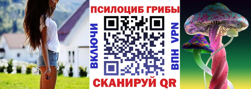 Псилоцибиновые грибы прущие грибы  Купить  Мосальск 